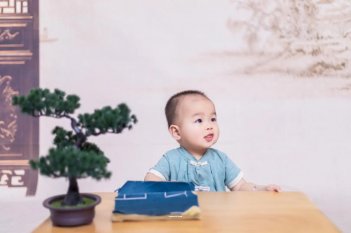 珠海八个月宝宝零食